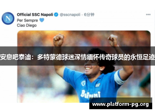 安息吧泰迪：多特蒙德球迷深情缅怀传奇球员的永恒足迹