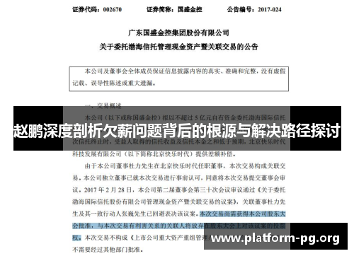 赵鹏深度剖析欠薪问题背后的根源与解决路径探讨