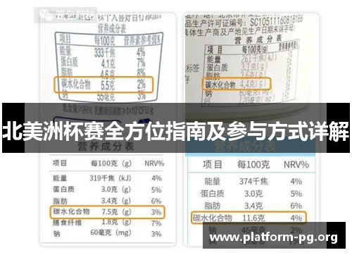 北美洲杯赛全方位指南及参与方式详解 北美洲杯赛全方位指南及参与方式详解